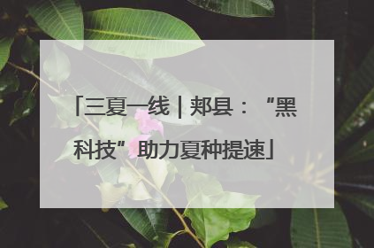 三夏一线|郏县:“黑科技”助力夏种提速