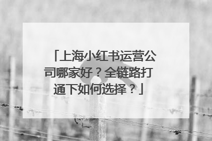 上海小红书运营公司哪家好？全链路打通下如何选择？