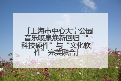 上海市中心大宁公园音乐喷泉焕新回归 “科技硬件”与“文化软件”完美融合