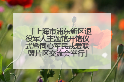 上海市浦东新区退役军人主题馆开馆仪式暨同心军民戎爱联盟片区交流会举行