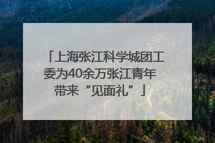上海张江科学城团工委为40余万张江青年带来“见面礼”