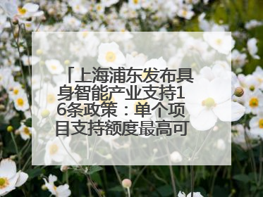 上海浦东发布具身智能产业支持16条政策：单个项目支持额度最高可达亿级