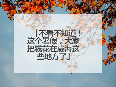 不看不知道！这个暑假，大家把钱花在威海这些地方了