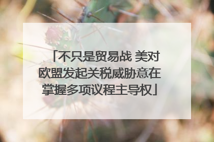 不只是贸易战 美对欧盟发起关税威胁意在掌握多项议程主导权