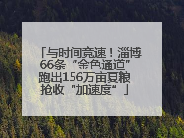 与时间竞速！淄博66条“金色通道”跑出156万亩夏粮抢收“加速度”