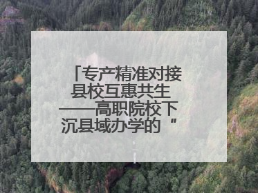 专产精准对接 县校互惠共生——高职院校下沉县域办学的“浙工商”经验