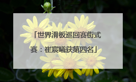 世界滑板巡回赛街式赛：崔宸曦获第四名