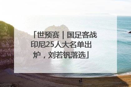 世预赛｜国足客战印尼25人大名单出炉，刘若钒落选
