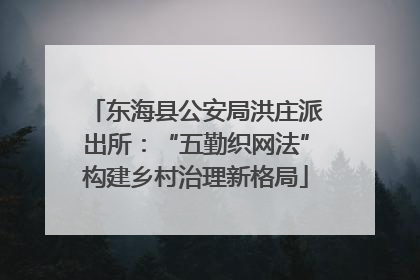 东海县公安局洪庄派出所：“五勤织网法”构建乡村治理新格局