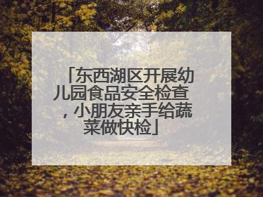 东西湖区开展幼儿园食品安全检查，小朋友亲手给蔬菜做快检