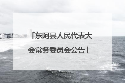 东阿县人民代表大会常务委员会公告