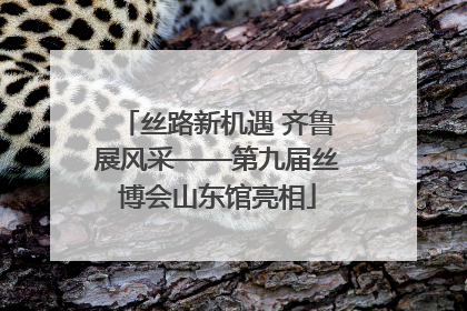 丝路新机遇 齐鲁展风采——第九届丝博会山东馆亮相