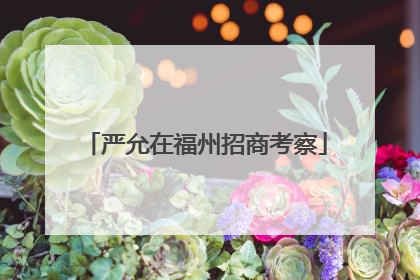 严允在福州招商考察