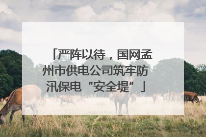 严阵以待，国网孟州市供电公司筑牢防汛保电“安全堤”