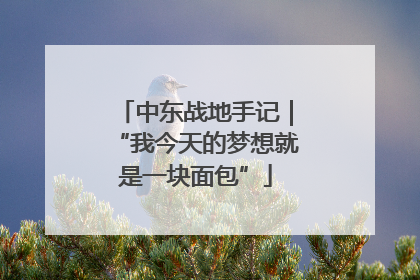 中东战地手记｜“我今天的梦想就是一块面包”