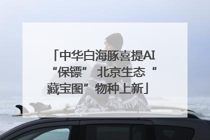 中华白海豚喜提AI“保镖” 北京生态“藏宝图”物种上新