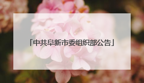 中共阜新市委组织部公告