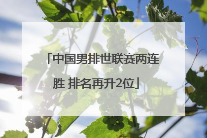 中国男排世联赛两连胜 排名再升2位