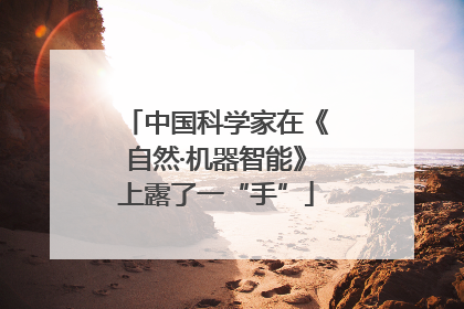 中国科学家在《自然·机器智能》上露了一“手”