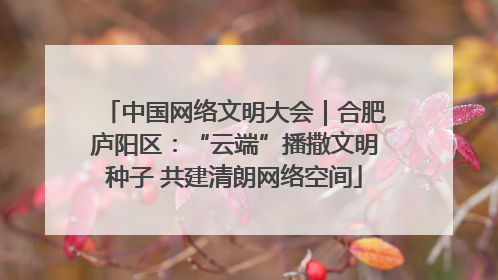 中国网络文明大会｜合肥庐阳区：“云端”播撒文明种子 共建清朗网络空间