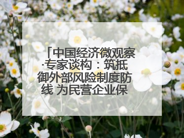 中国经济微观察·专家谈构：筑抵御外部风险制度防线 为民营企业保驾护航