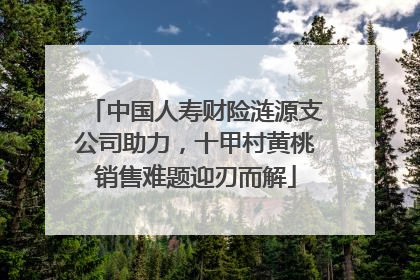中国人寿财险涟源支公司助力，十甲村黄桃销售难题迎刃而解