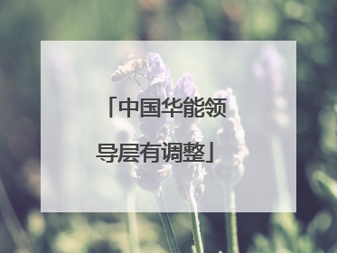 中国华能领导层有调整