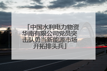 中国水利电力物资华南有限公司党员突击队勇当新能源市场开拓排头兵