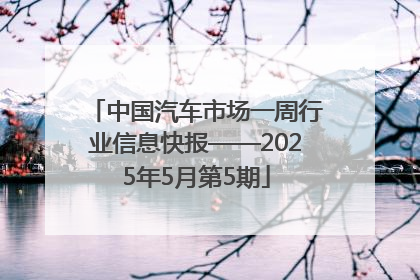 中国汽车市场一周行业信息快报——2025年5月第5期