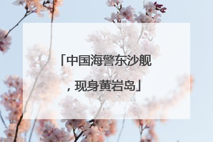 中国海警东沙舰，现身黄岩岛