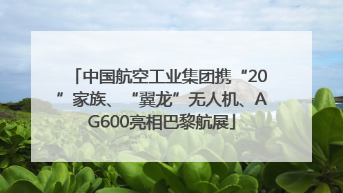 中国航空工业集团携“20”家族、“翼龙”无人机、AG600亮相巴黎航展