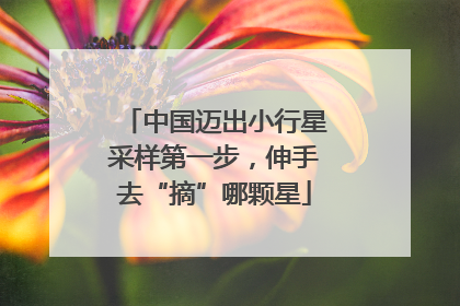 中国迈出小行星采样第一步，伸手去“摘”哪颗星
