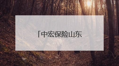 中宏保险山东分公司积极开展《信访工作条例》宣传月活动