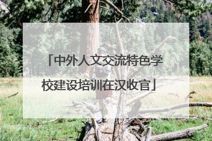 中外人文交流特色学校建设培训在汉收官