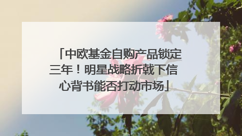 中欧基金自购产品锁定三年！明星战略折戟下信心背书能否打动市场