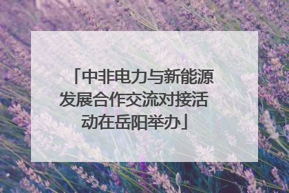中非电力与新能源发展合作交流对接活动在岳阳举办