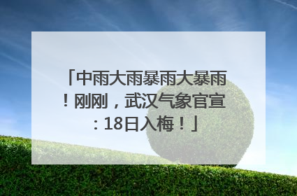中雨大雨暴雨大暴雨！刚刚，武汉气象官宣：18日入梅！