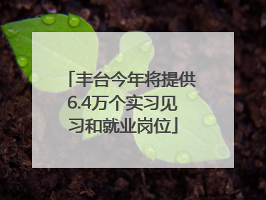丰台今年将提供6.4万个实习见习和就业岗位
