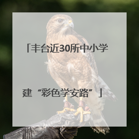 丰台近30所中小学建“彩色学安路”