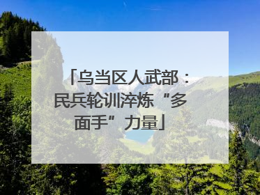 乌当区人武部：民兵轮训淬炼“多面手”力量