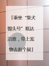 乘坐“柴犬馒头号”抵达治愈，带上宠物去逛个展