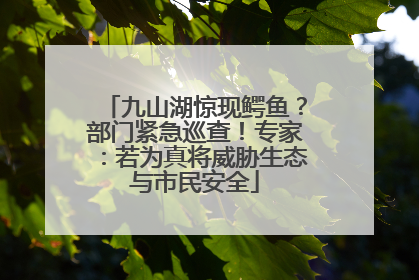 九山湖惊现鳄鱼？部门紧急巡查！专家：若为真将威胁生态与市民安全
