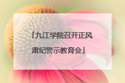 九江学院召开正风肃纪警示教育会