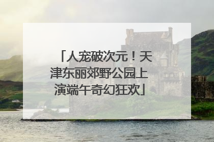 人宠破次元！天津东丽郊野公园上演端午奇幻狂欢