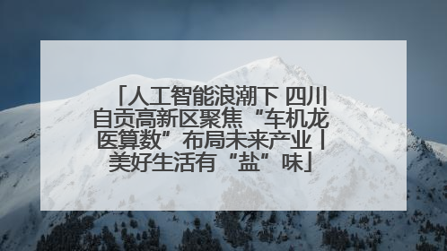人工智能浪潮下 四川自贡高新区聚焦“车机龙医算数”布局未来产业丨美好生活有“盐”味