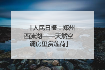 人民日报：郑州西流湖——天然空调房里赏莲荷