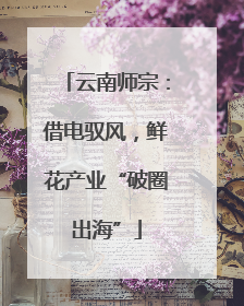 云南师宗：借电驭风，鲜花产业“破圈出海”
