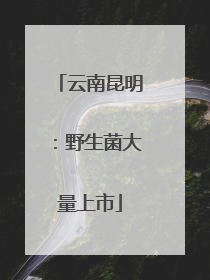 云南昆明：野生菌大量上市
