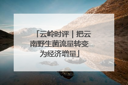 云岭时评｜把云南野生菌流量转变为经济增量