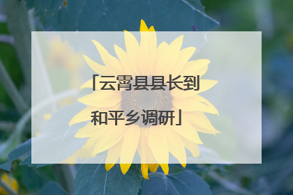 云霄县县长到和平乡调研